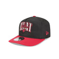Miami Heat Dual Logo 19TWENTY Adjustable Hat