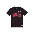 Chicago Bulls Throwback Applique Pinstripe T-Shirt