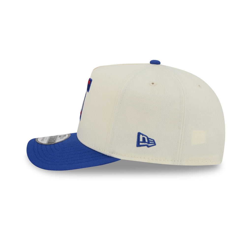 Philadelphia 76ers 1963-1976 Hardwood Classics Chrome White 9FIFTY A-Frame Snapback Hat