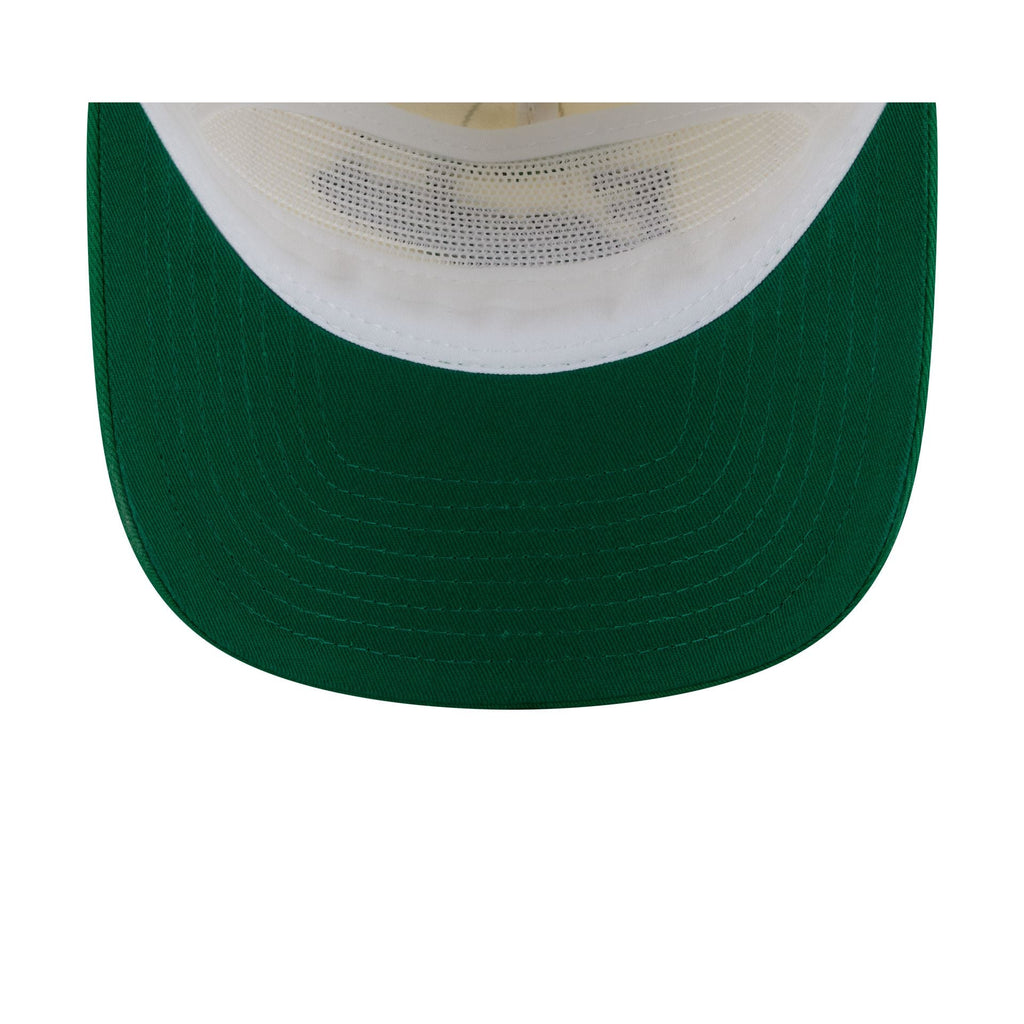 Philadelphia Eagles Chrome White Pinstripe 19TWENTY Snapback Hat