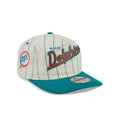Miami Dolphins Chrome White Pinstripe 19TWENTY Snapback Hat
