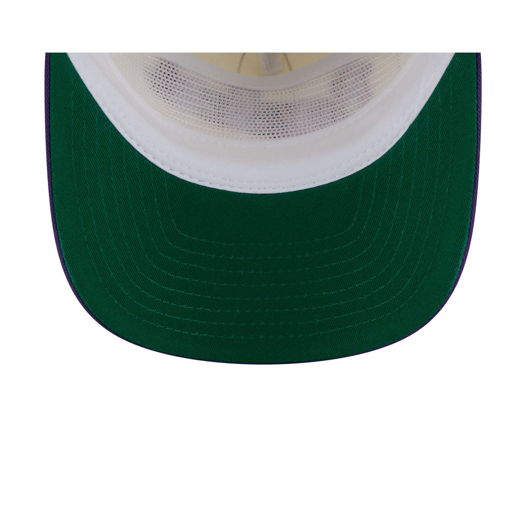 Toronto Raptors Chrome White Pinstripe 19TWENTY Snapback Hat
