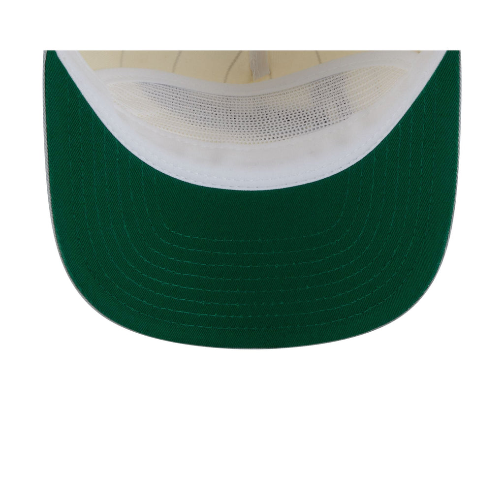 Las Vegas Raiders Chrome White Pinstripe 19TWENTY Snapback Hat