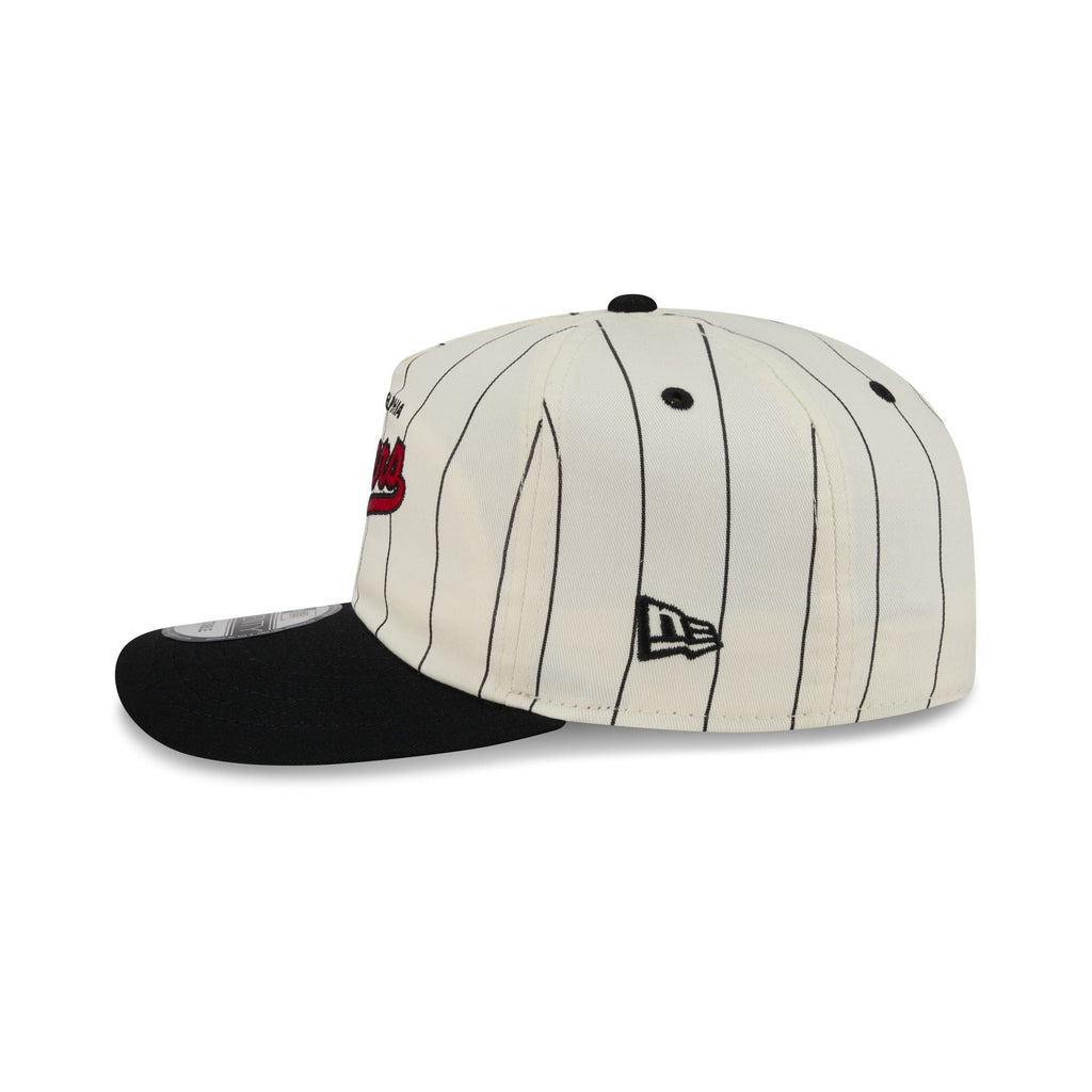 Philadelphia 76ers Chrome White Pinstripe 19TWENTY Snapback Hat
