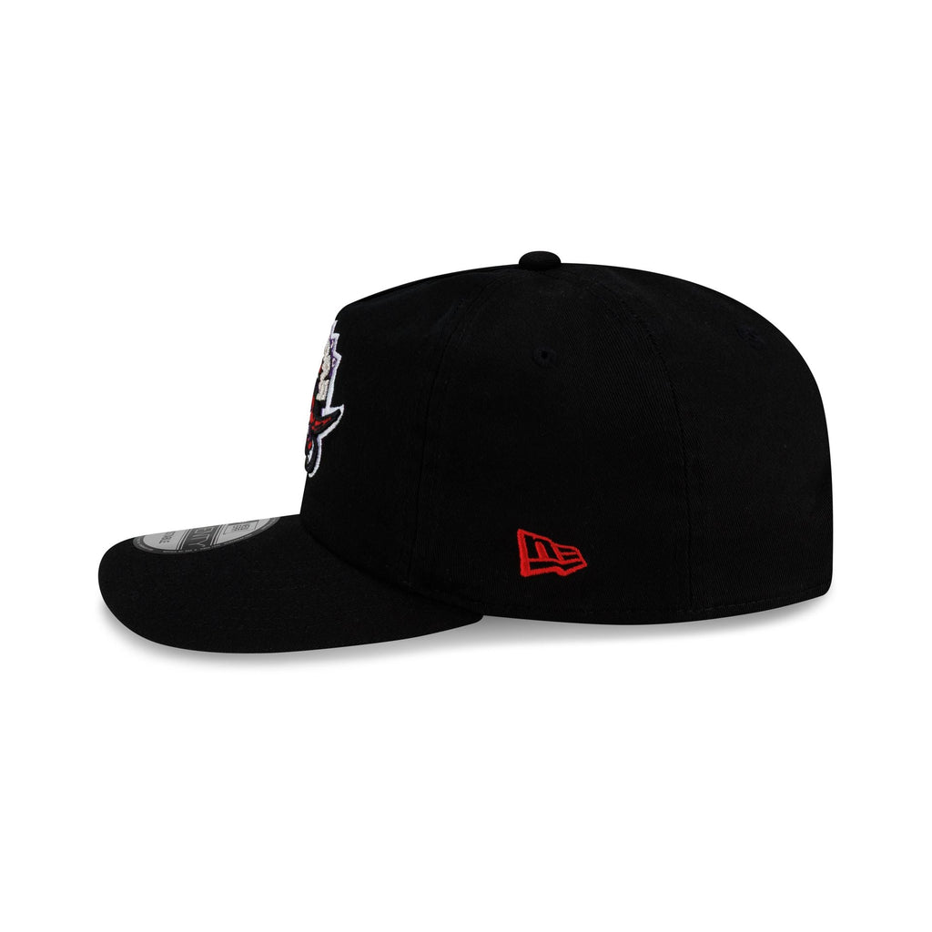 Toronto Raptors Hardwood Classics 19TWENTY Snapback Hat